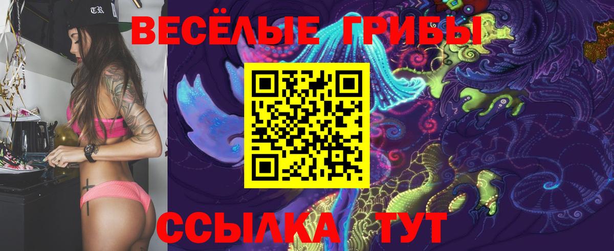 Советск  Галлюциногенные грибы Psilocybe  Вход с VPN 