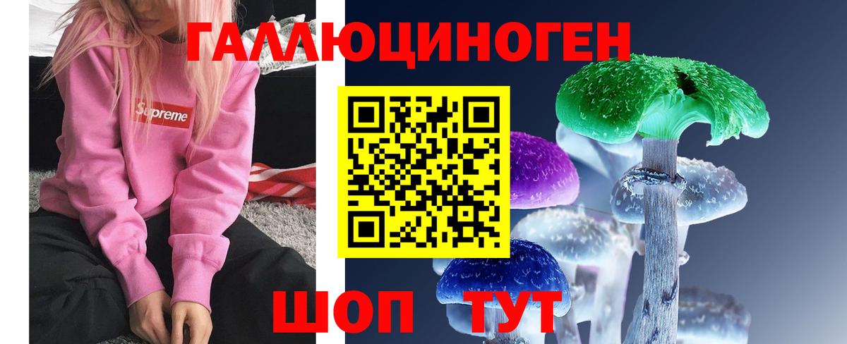 Галлюциногенные грибы мицелий Советск